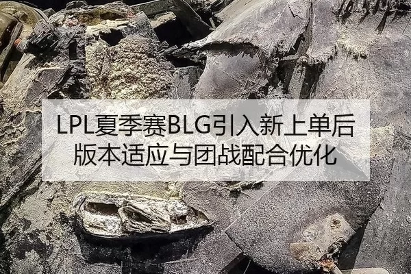 LPL夏季赛BLG引入新上单后版本适应与团战配合优化