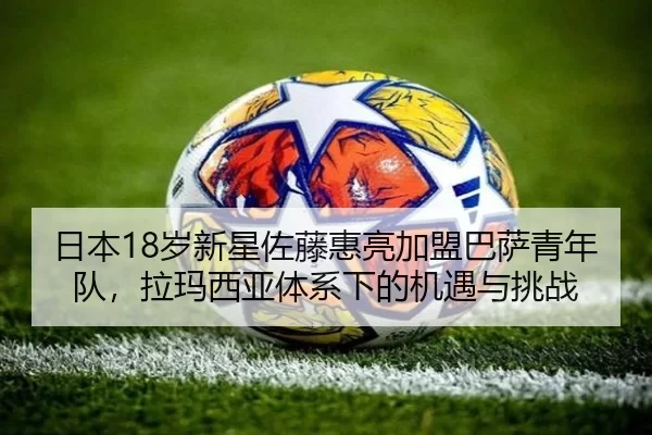 ri-ben-sui-xin-xing-zuo-teng-hui-liang-jia-meng-ba-sa-qing-nian-dui-la-ma-xi-ya-ti-xi-xia-de-ji-yu-yu-tiao-zhan-2-687.jpg